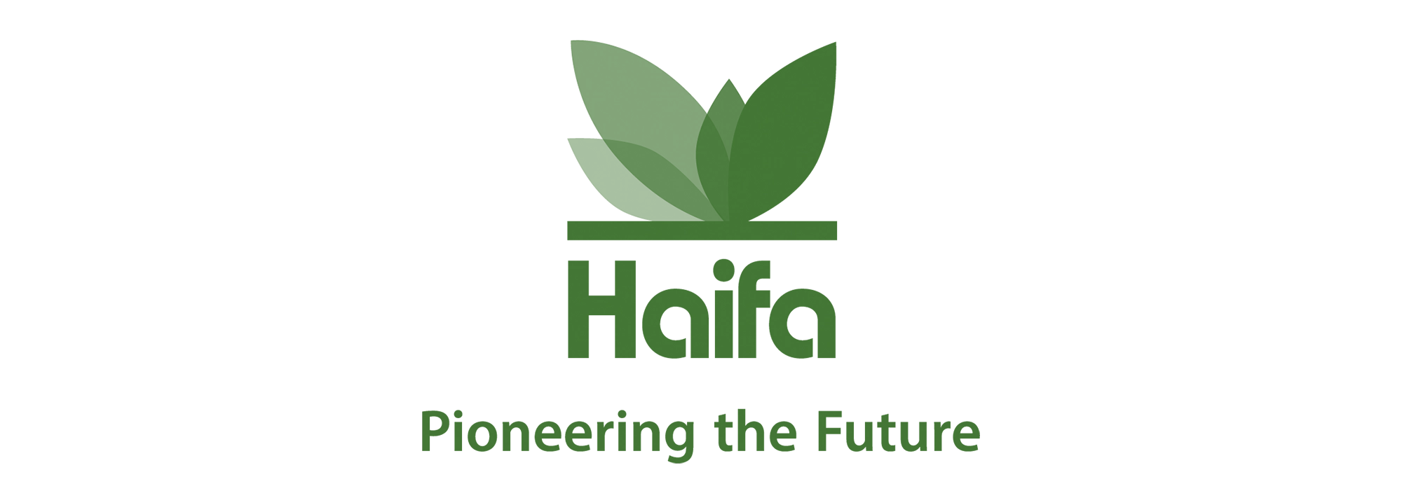 Fornecedores Viveiro Baldissarelli Haifa