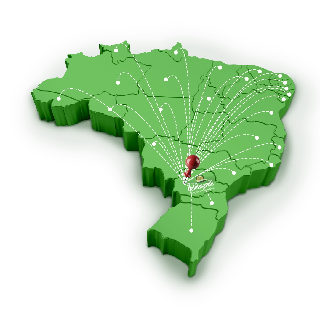 Mapa Localização Viveiro Baldissarelli Paraná v4